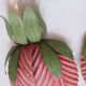 Duo appliques feuilles