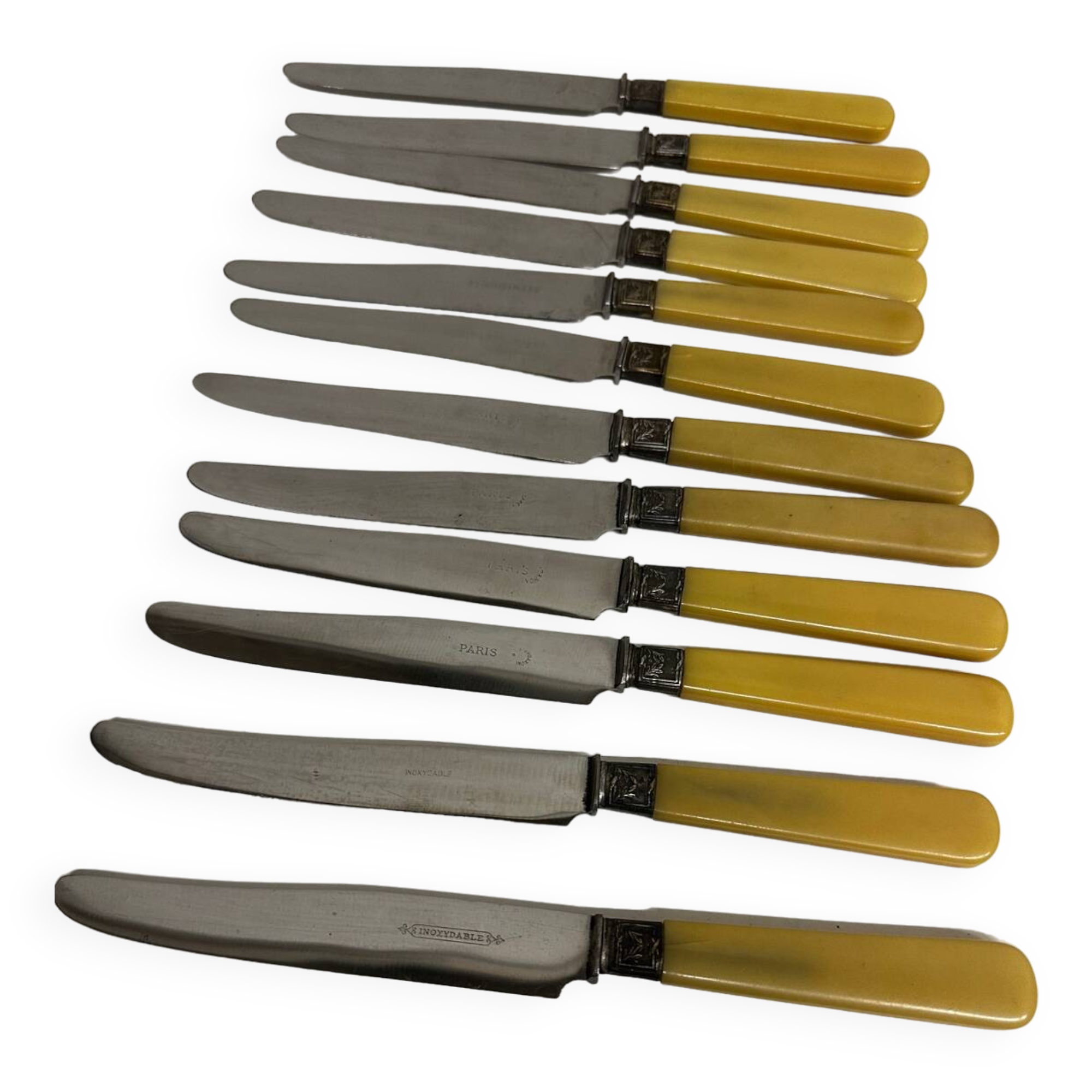 12 Antique Knives with Bakelite Handles and Stainless Steel Blades - 24 cm - Paris