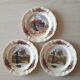 Old sarreguemines plates
