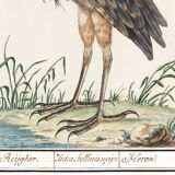 Small poster on the Heron, after an old engraving from 1610.