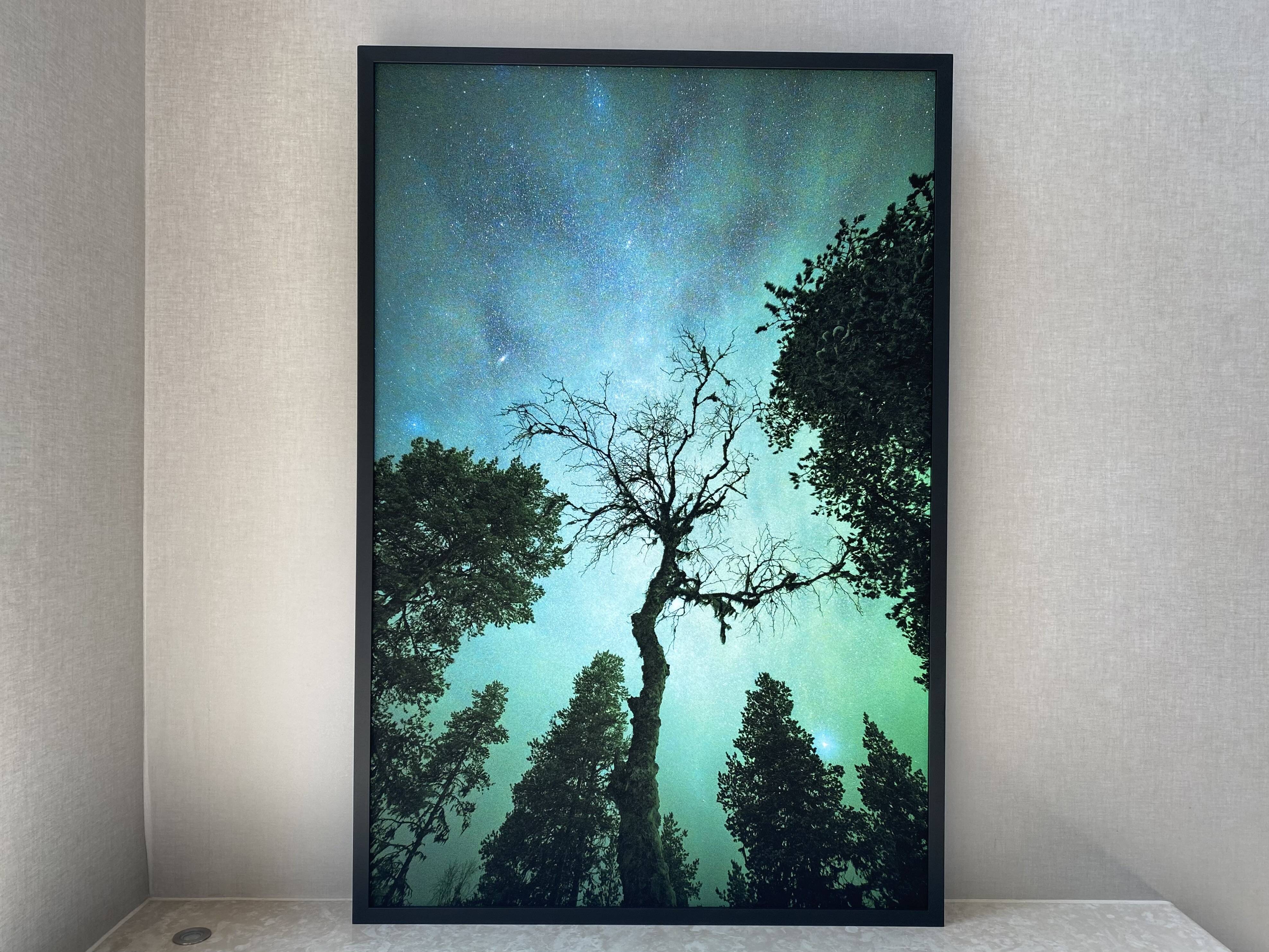Limited Edition – Forest under the Northern Lights (4/15)
