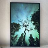 Limited Edition – Forest under the Northern Lights (4/15)