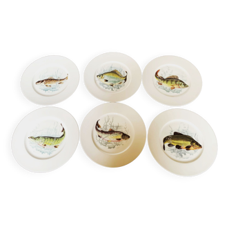 6 assiettes à poisson en porcelaine de Bavière Winterling