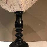 Clam mounted in vacuum pocket