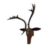 Trophée de chasse bois de cerf