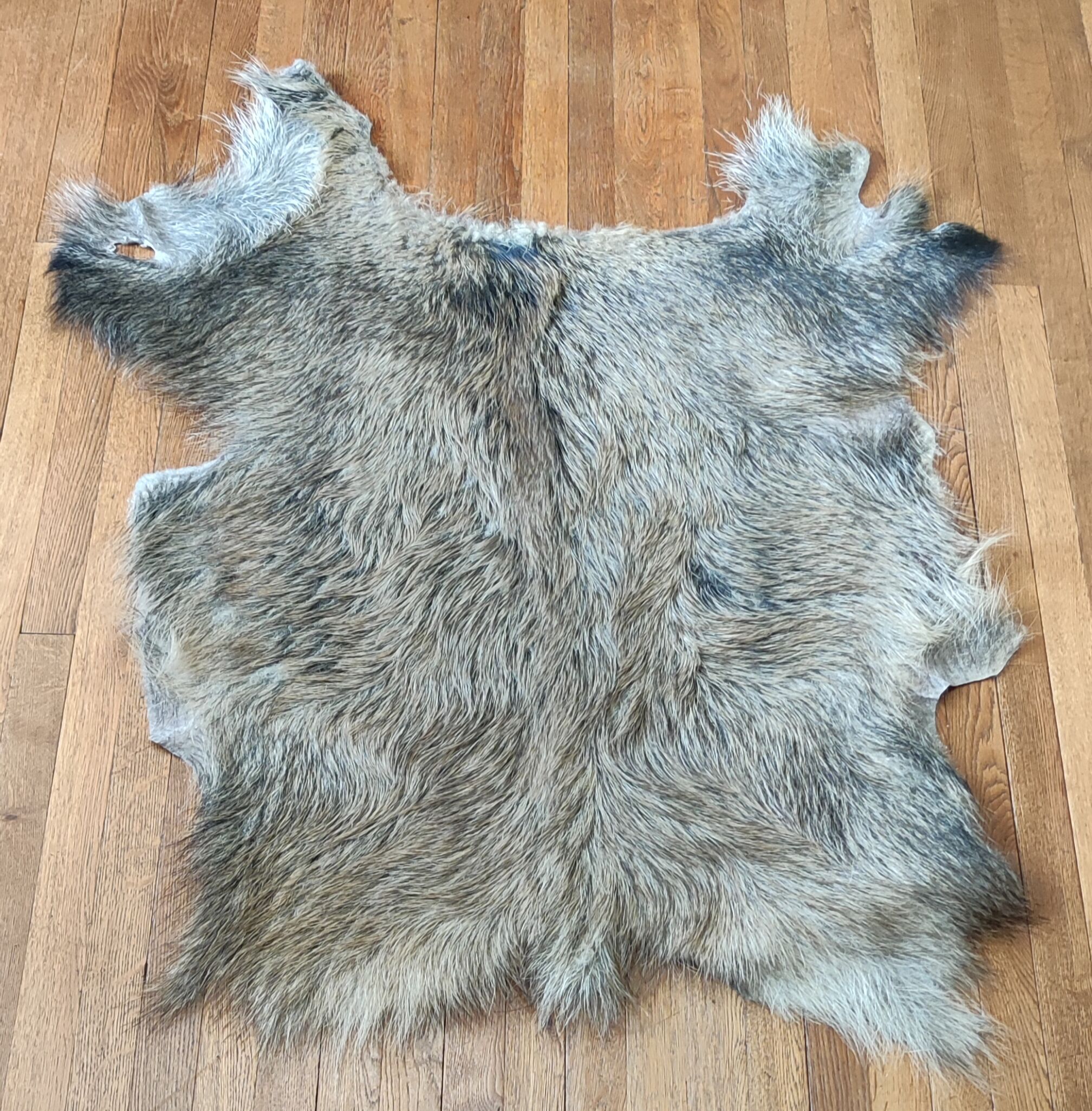 Tapis vintage peau de sanglier 117 cm X 103 cm