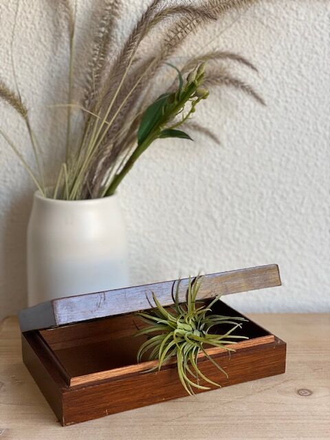 Coffret boite en loupe de bois