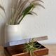 Coffret boite en loupe de bois