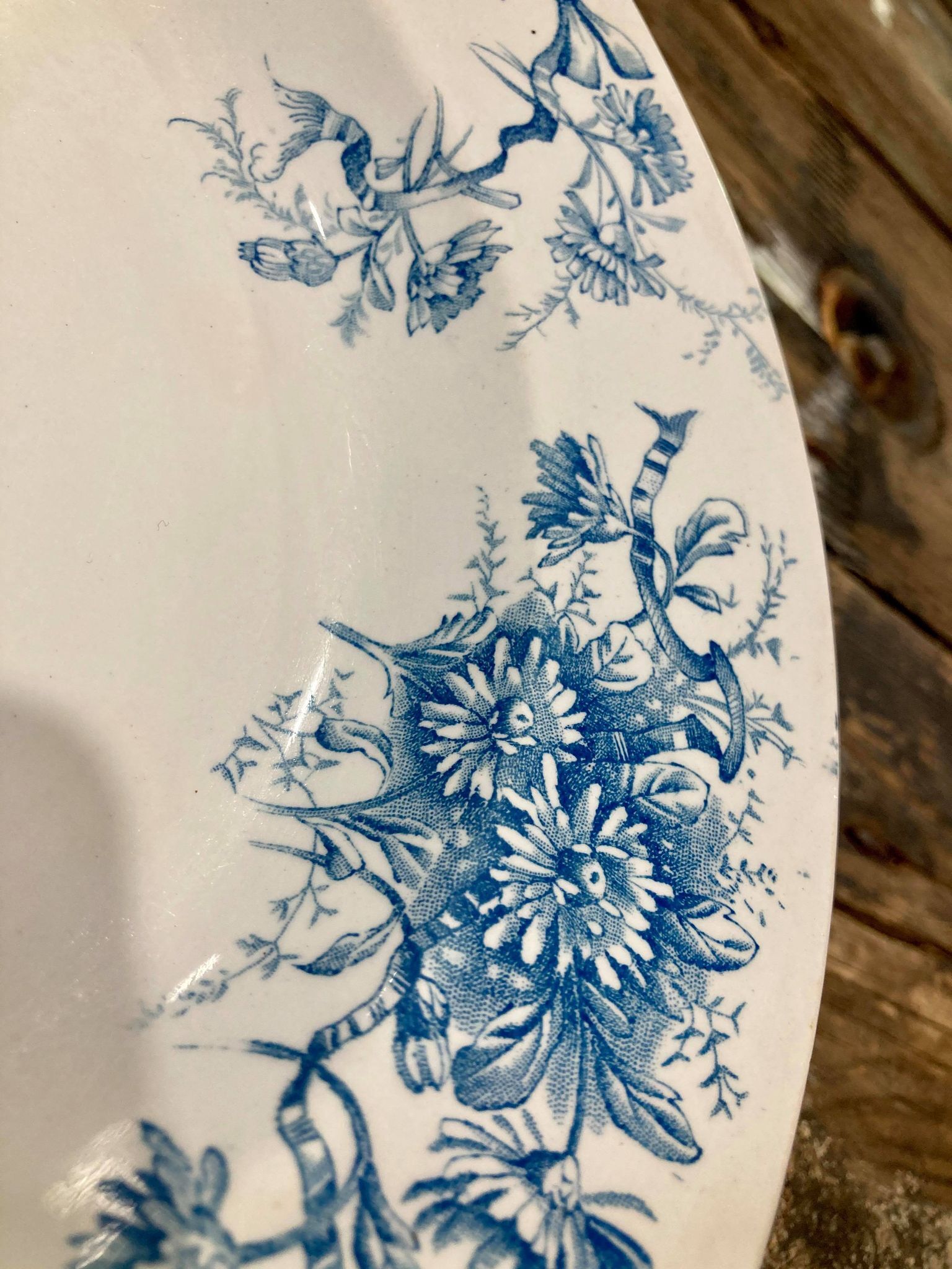 BFK plate Paquerette model