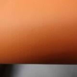 Six vintage Casala cantilever chairs