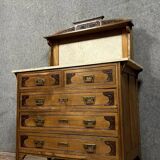 In the Spirit of the Nancy School: Art Nouveau chest of drawers in oak