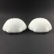 Pair of Opaline Glass Shell-Shaped Wall Lights from Limburg, Germany, 1970s
