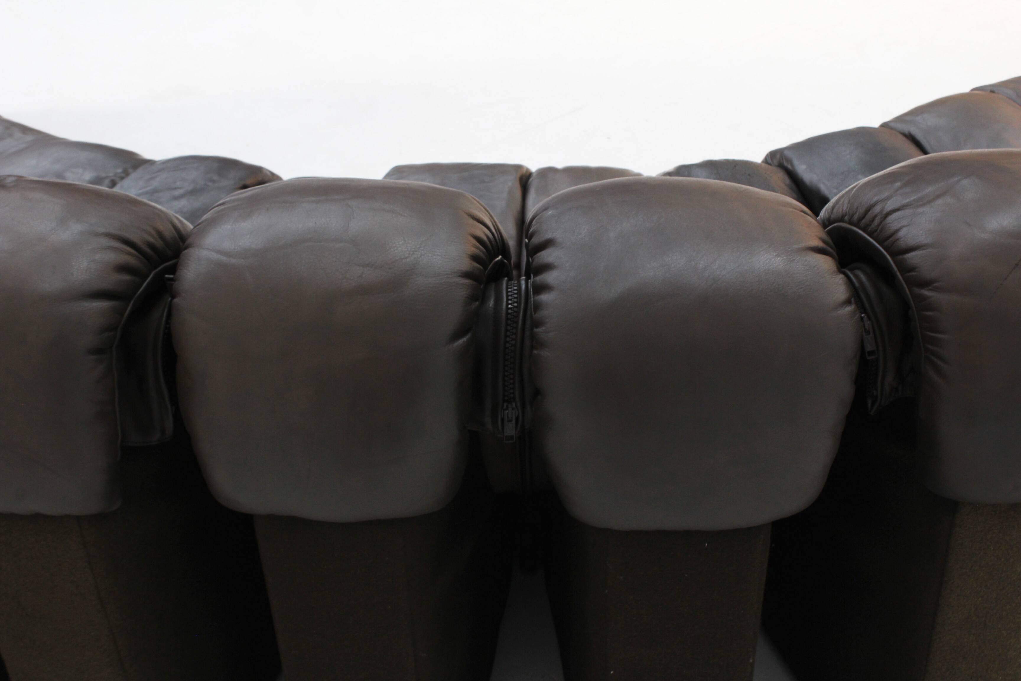 Vintage DS-600 Non stop Snake sofa by De Sede in original brown leather, 19