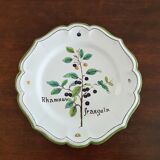 Lot de 3 assiettes motif plantes médicinales