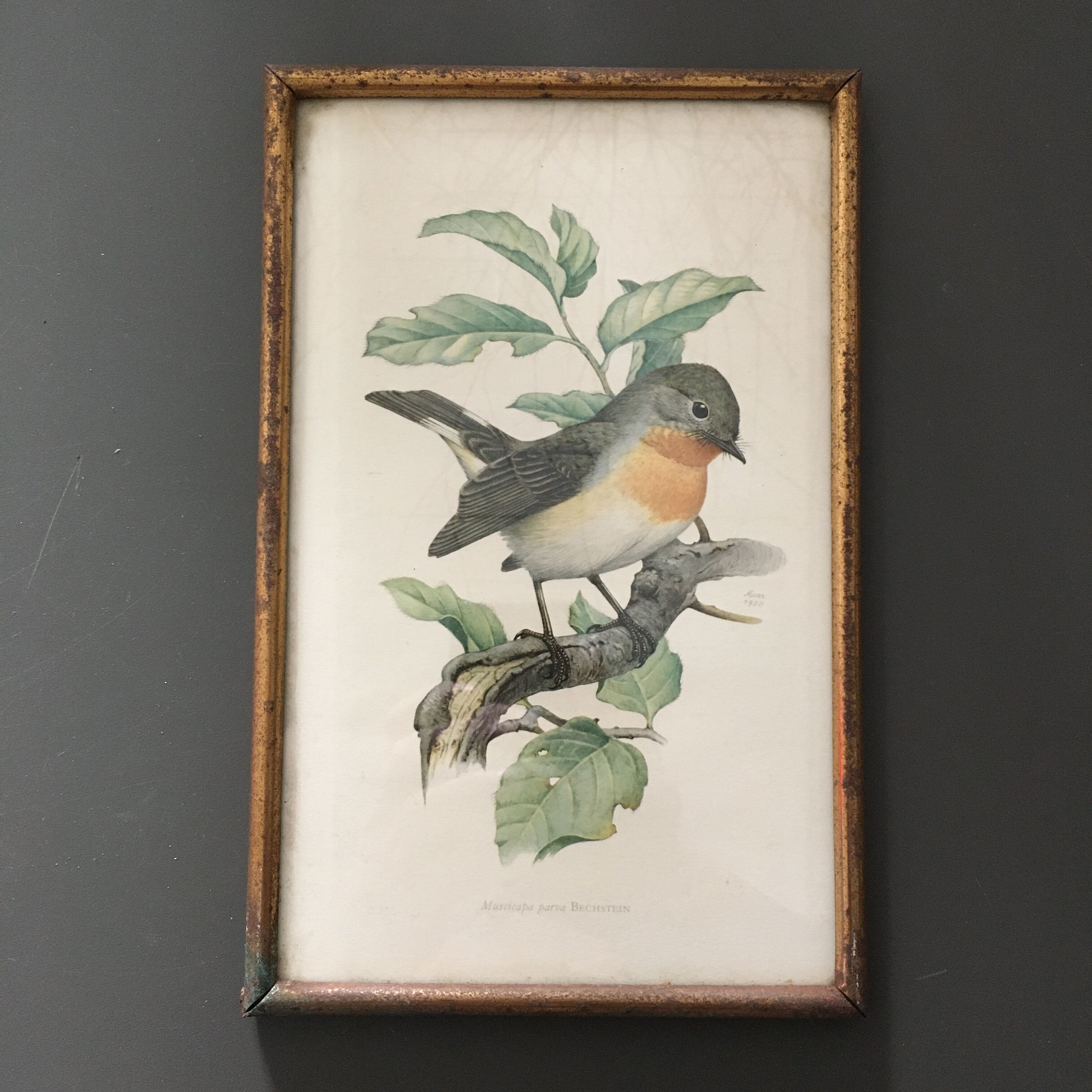 Illustration brass frame box