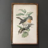 Illustration brass frame box