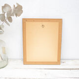 Engraving bird parrot, the parakeet with wide tail jacques barraband