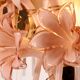 Pink lily spectacular Murano wall lamps by Franco Luce 1970