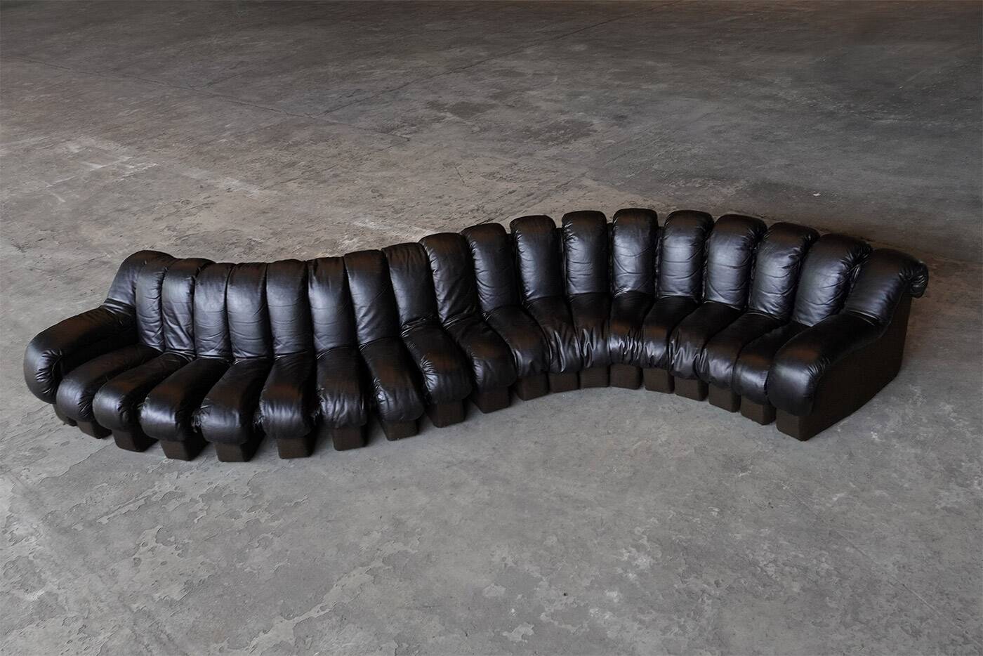 De Sede DS600 snake sofa in black leather by Ueli Berger, Switzerland 1970s