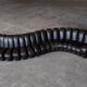 De Sede DS600 snake sofa in black leather by Ueli Berger, Switzerland 1970s