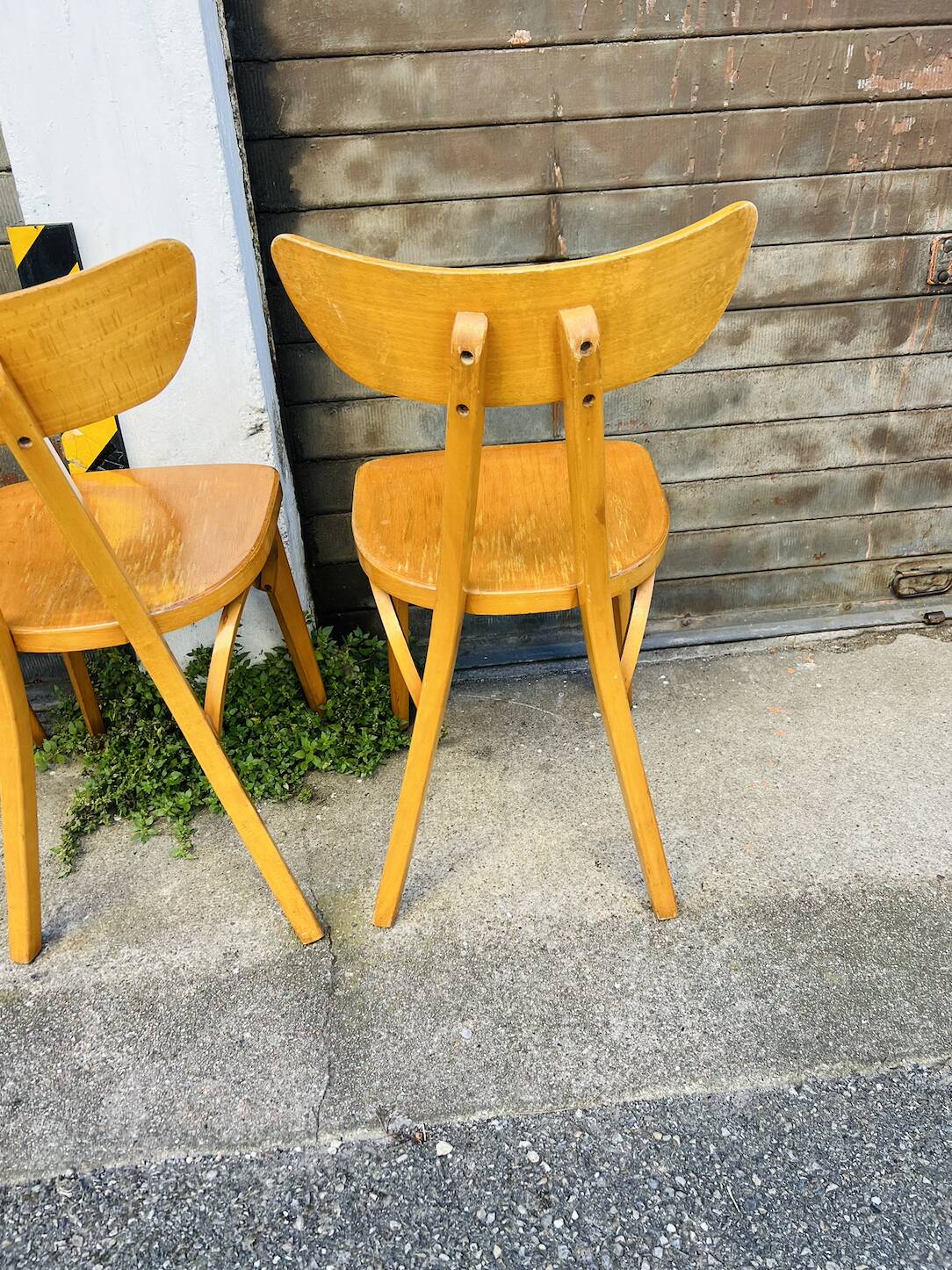 (Lot) 6 Bistro Chairs Lutherma Banana (Light Oak)