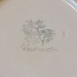 2 hollow plates Lunéville The political annals, guided by Edmond Lachenal