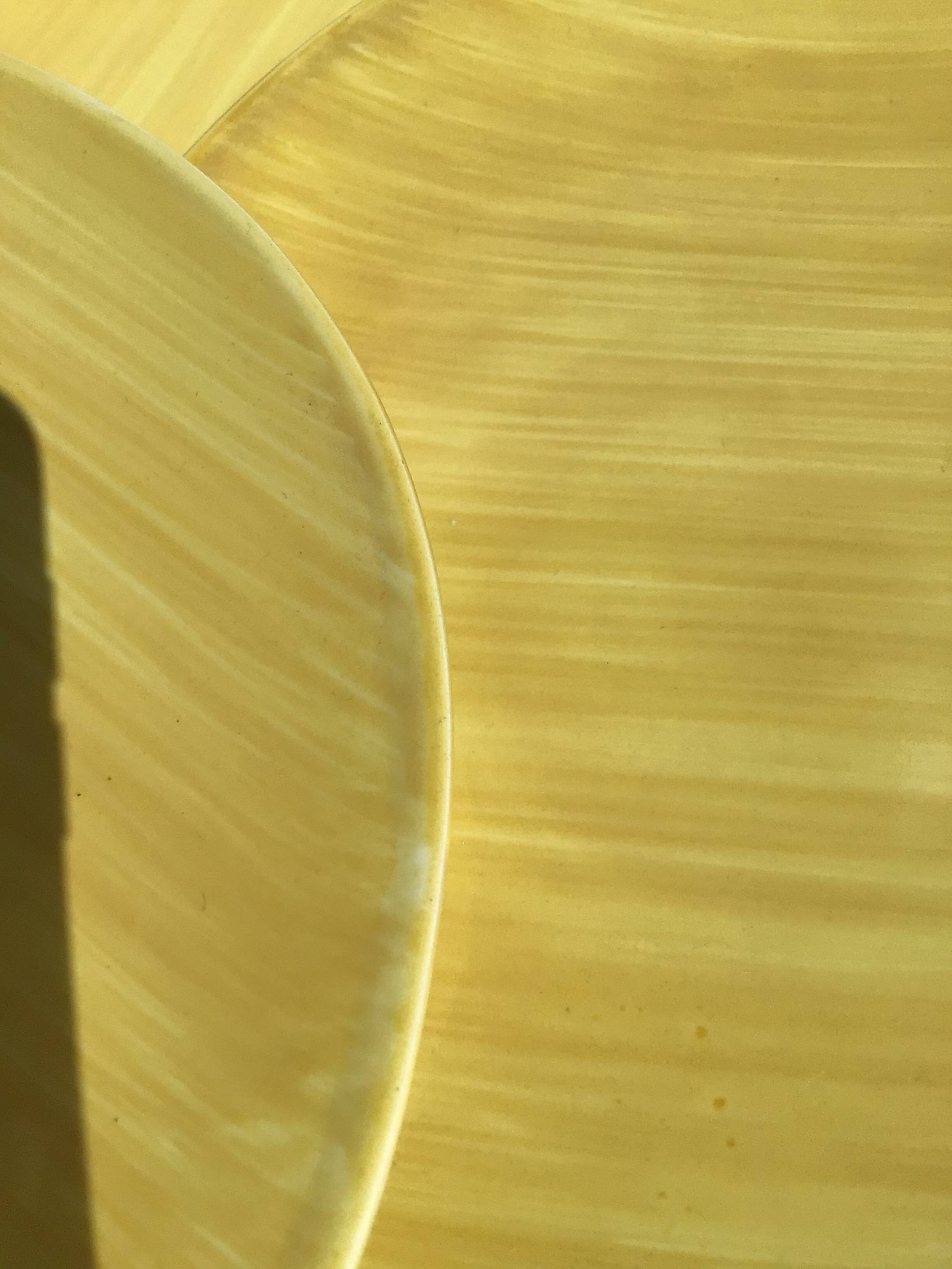 5 Salins Panama brushed oval dessert plates