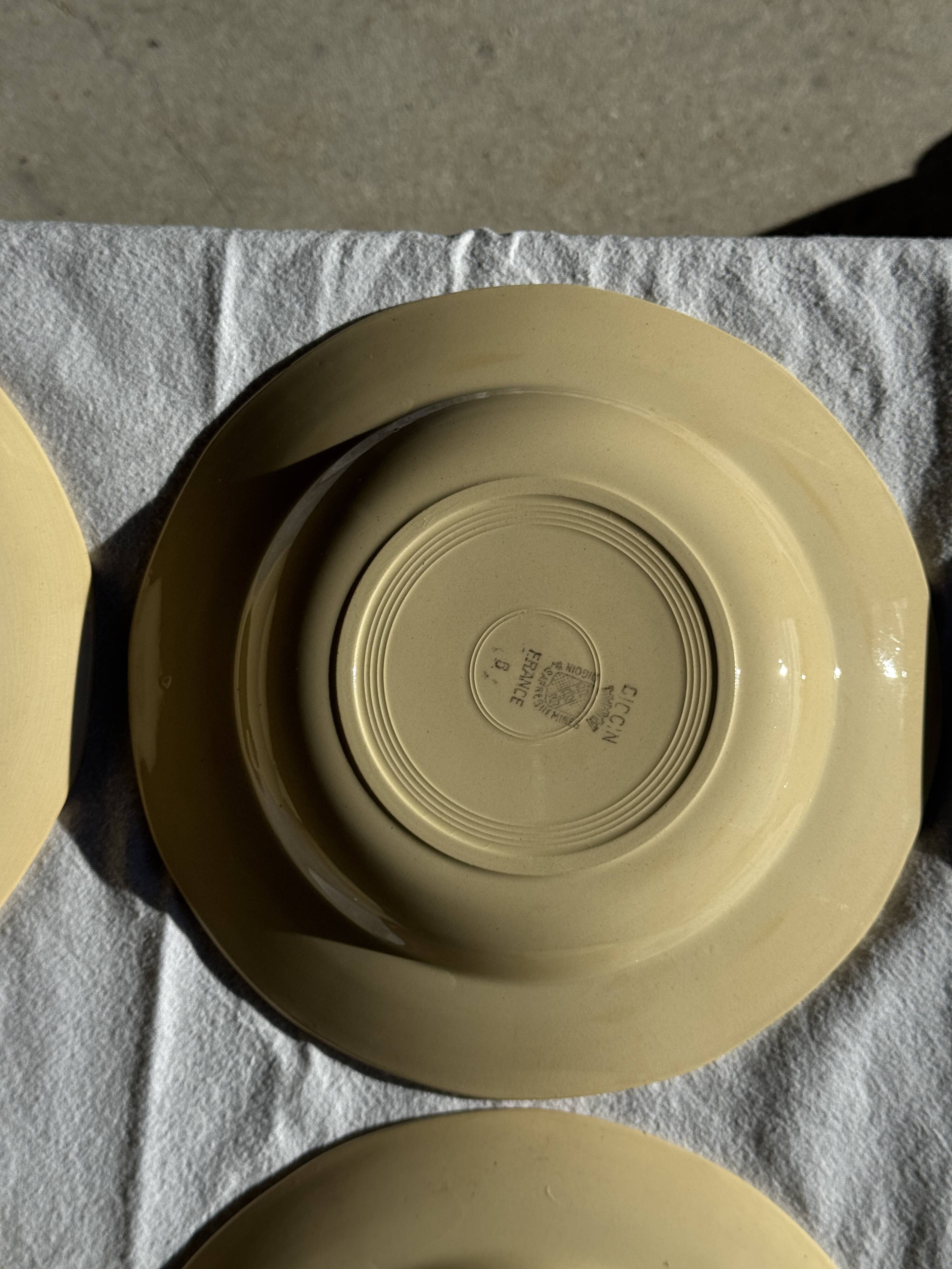Set of 12 beige, pink, and blue deep plates from Digoin Sarreguemines, vintage.