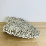 Old XL coral 51 cm