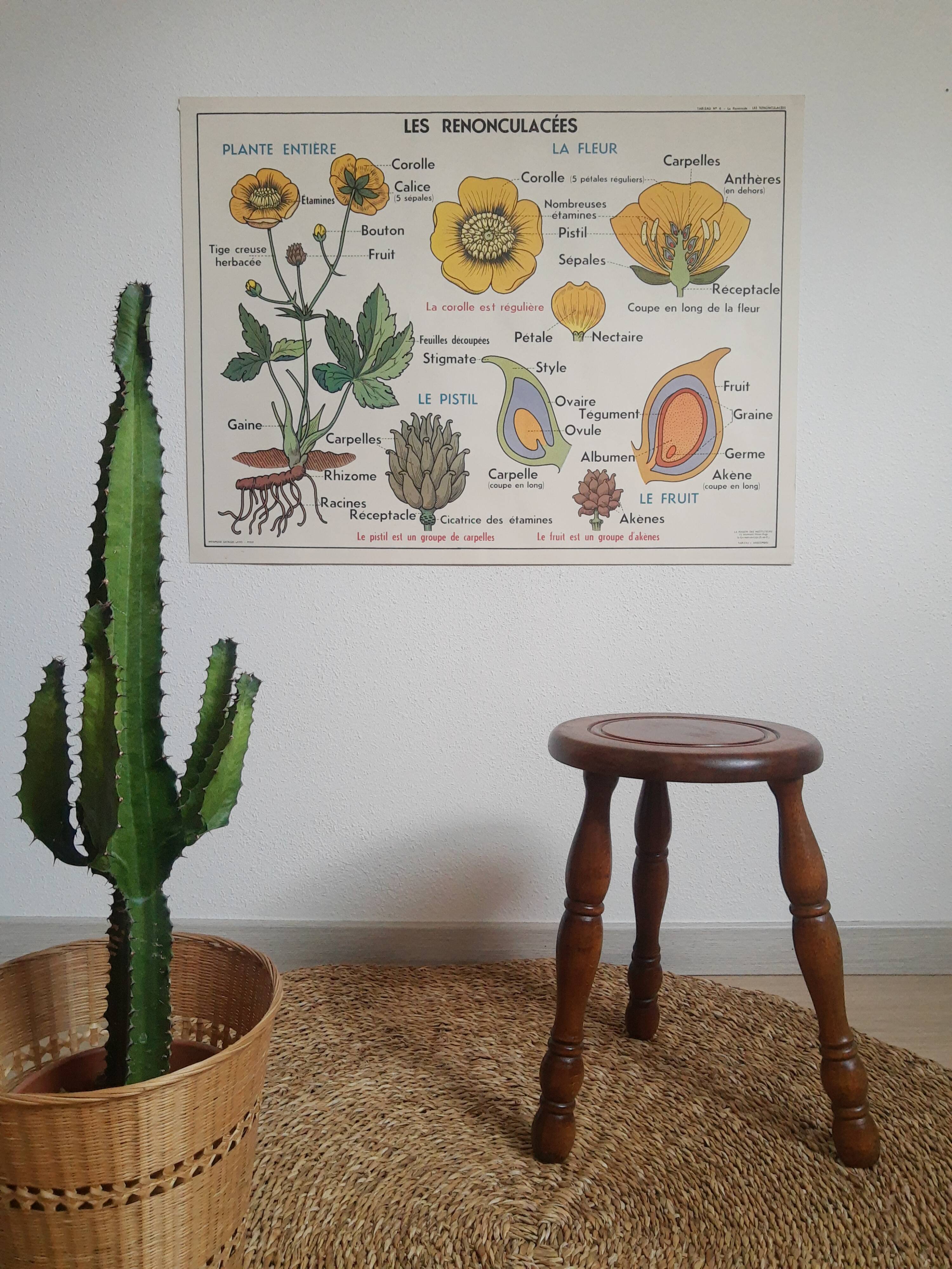 Vintage turned wood tripod country stool