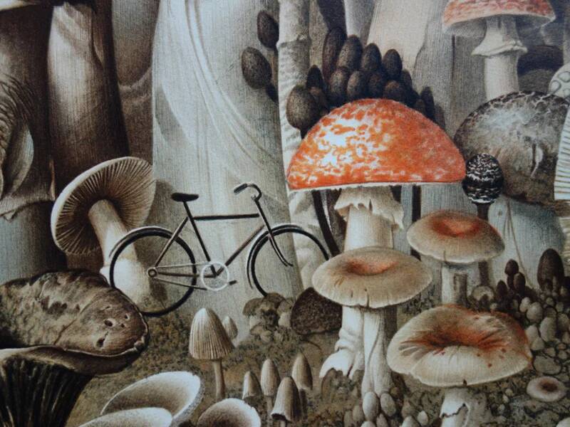 Roland CAT: Bicycle and Mushrooms, original signed lithograph