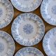 7 19th century ironstone plates signed KG Lunéville, "Neva" collection