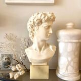 Bust of David after G. Bessi