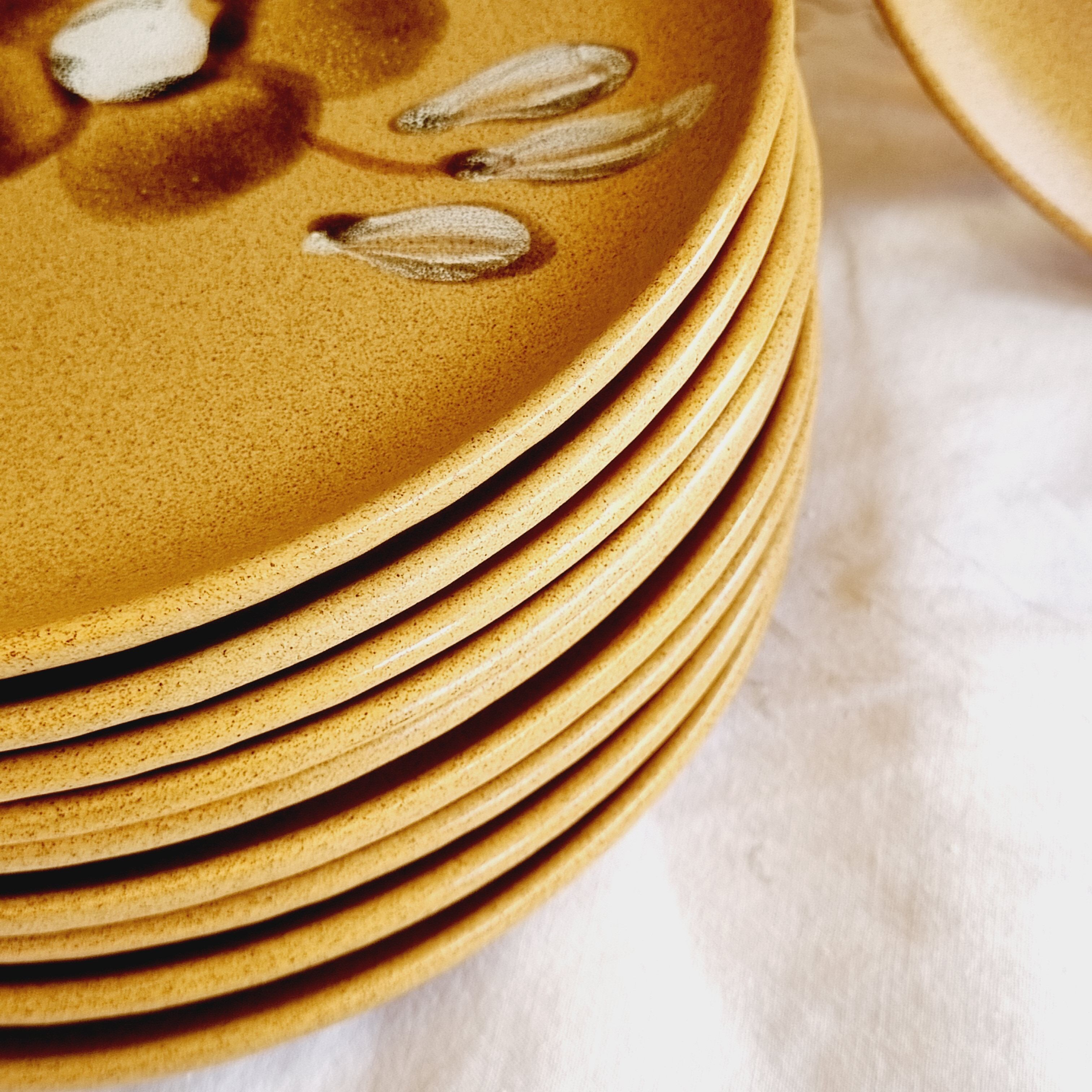 Set of 10 plates with sarreguemines sandstone desserts