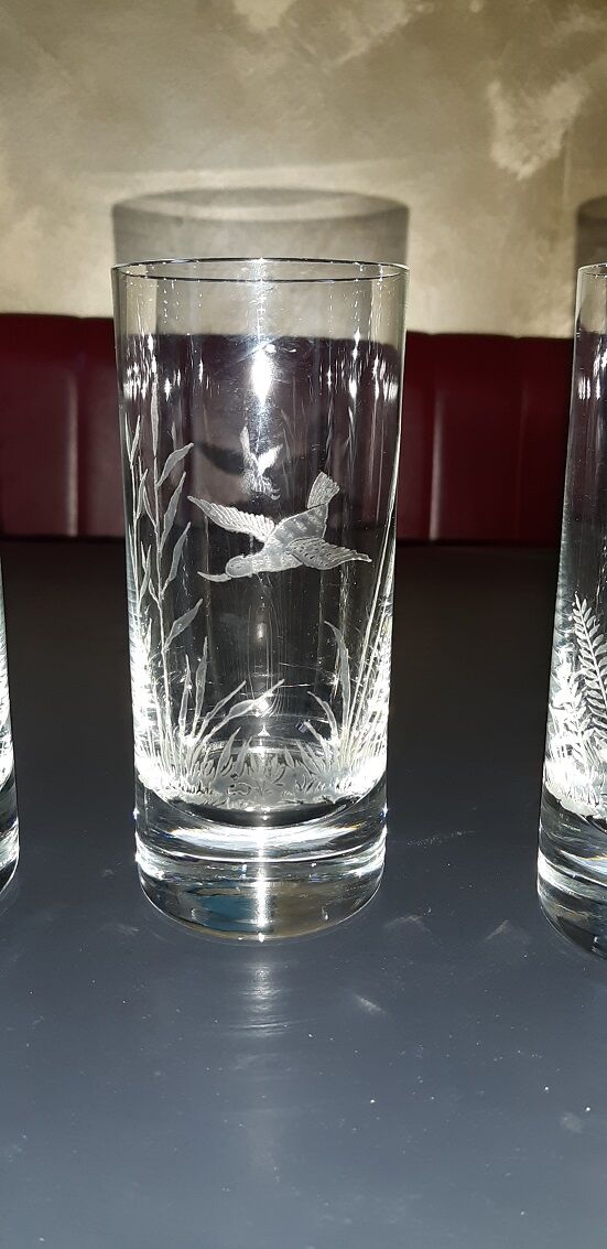 Lot of 6 Moser engraved glasses