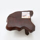 Solid tree trunk coffee table ca.1950