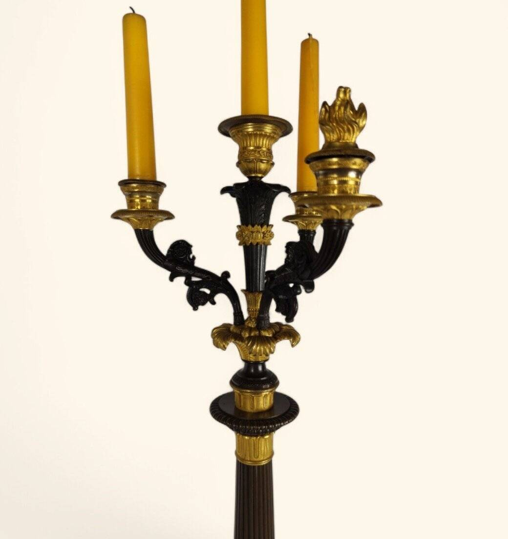 Large Pair of Gilded Bronze Chandeliers - Restoration Period (1815-1830)