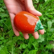 Salière Poivrière