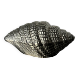 Shell jewellery box, silver plated, Italy, 1970s