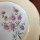 8 assiettes plates K&G Lunéville