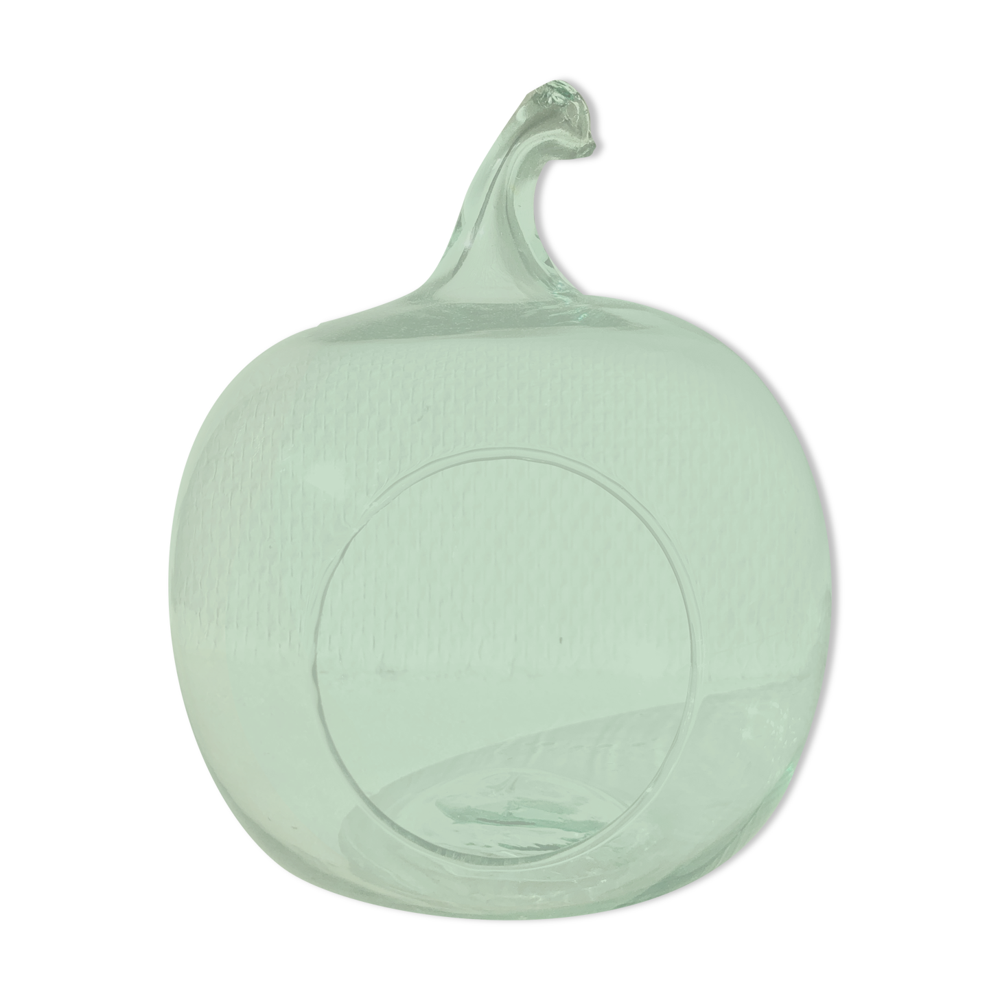 Apple-shaped terrarium vase