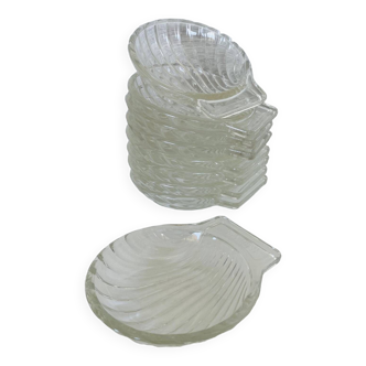 Set of 9 Scallop Shell Cups