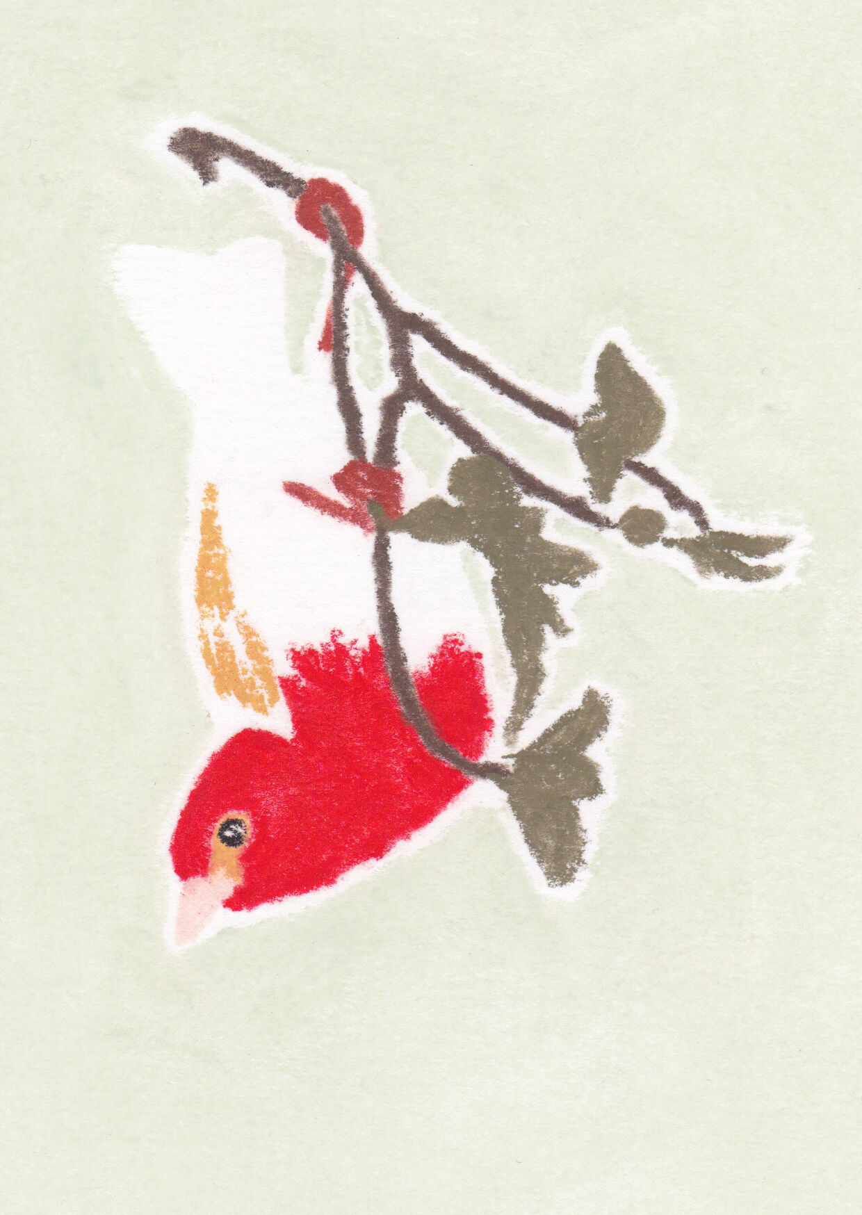 Bird "Scarlet Weaver" - Original Drawing