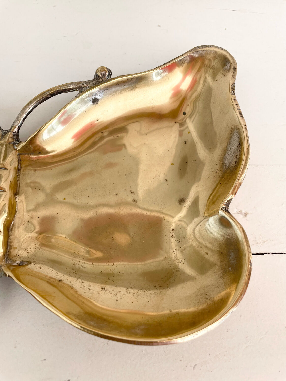 Empty butterfly brass pocket