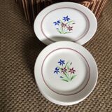 Set of 10 flat plates