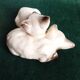 Pair of Siamese kittens in English porcelain from Beswick
