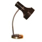 Vintage desk lamp with flexible arm, Belgium, 1970s
