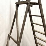 Stepladder