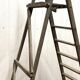 Stepladder