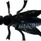 Cendrier en forme de mouche